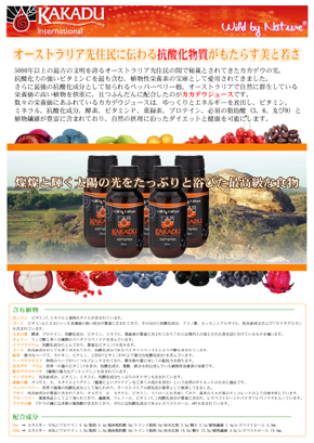 版下制作実績